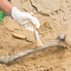 Image for article titled Report: Human Bones Found On Remote Pacific Island Most Likely Remains Of Those Eaten By Amelia Earhart